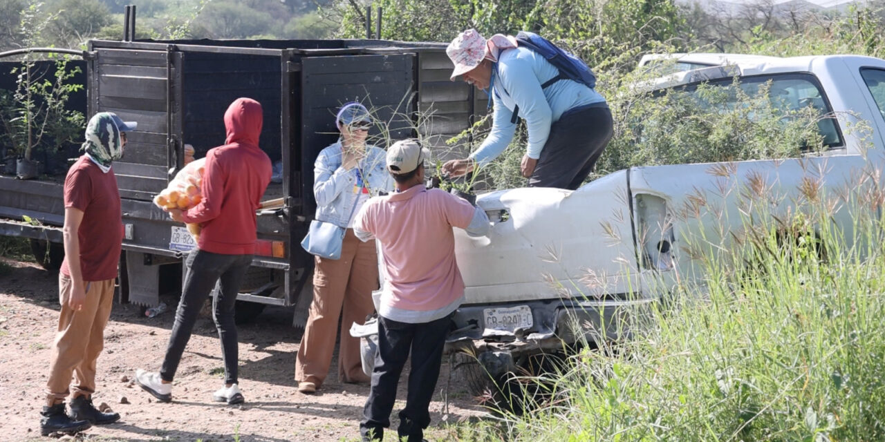 Reforestan ANP en Purísima del Rincón