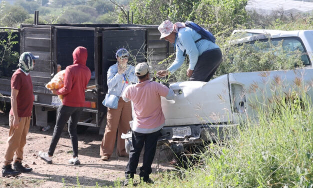 Reforestan ANP en Purísima del Rincón