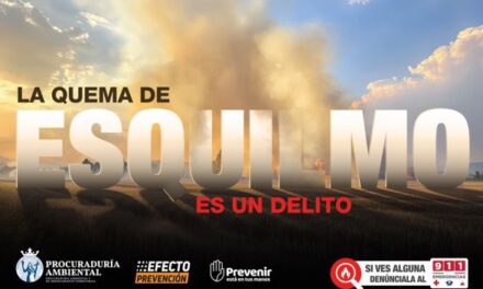 PAOT pide evitar quema de esquilmo