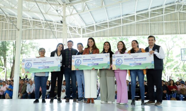 Premian platillo saludable 2025