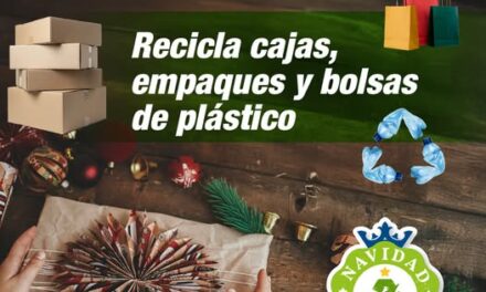 Impulsa PAOT una Navidad Sustentable