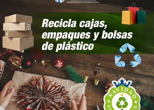 Impulsa PAOT una Navidad Sustentable