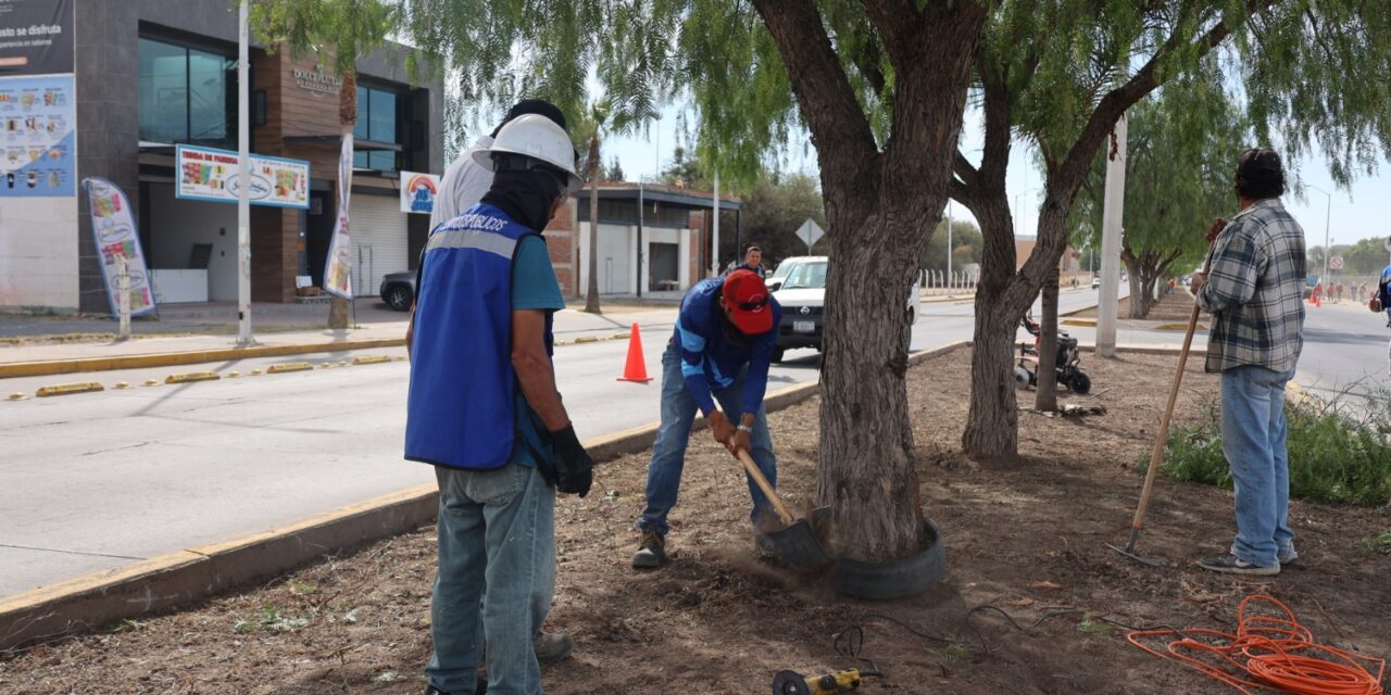 En Purísima atienden tema ecológico con corredor ambiental