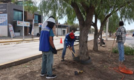 En Purísima atienden tema ecológico con corredor ambiental