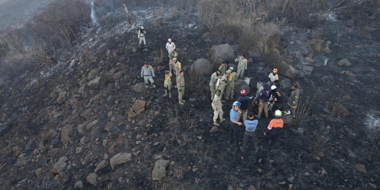 Controlan incendio en Área Natural Protegida en Purísima del Rincón
