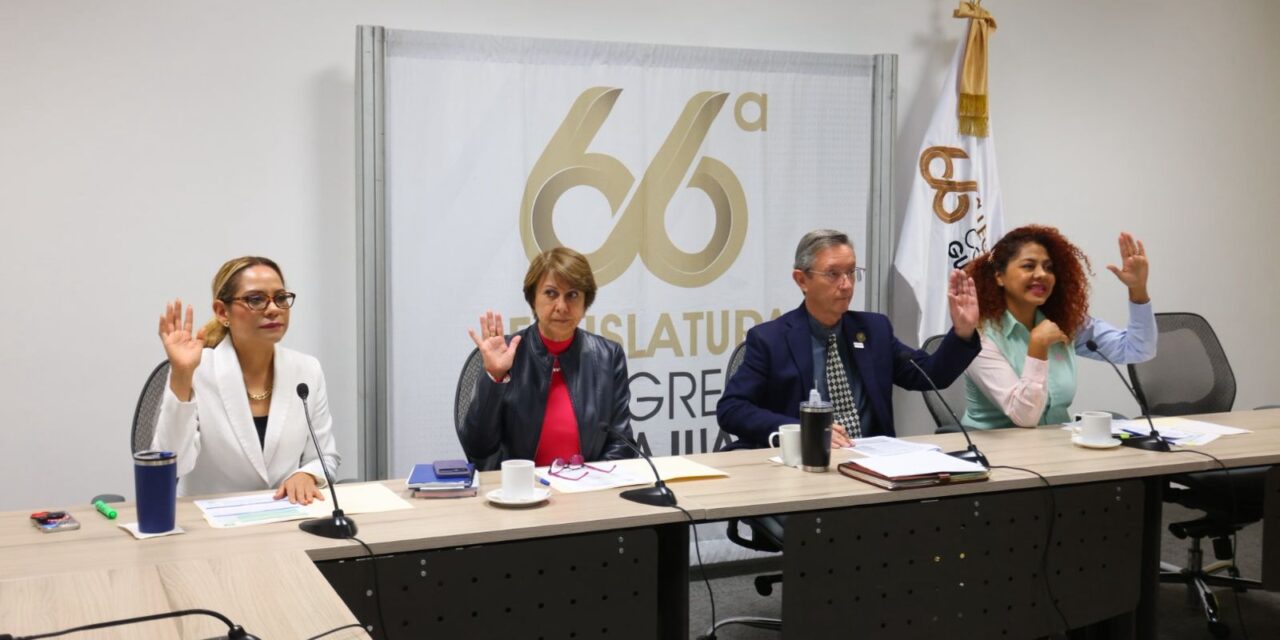 Aprueban dictamen en favor de la salud mental de las mujeres