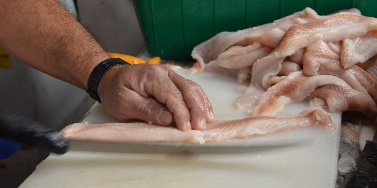 SSG supervisa expendios de venta de pescados y mariscos
