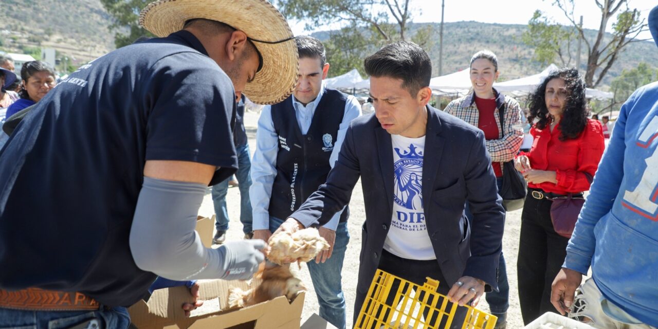 DIF Estatal entrega aves de traspatio