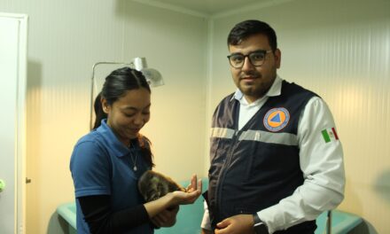 Localizan nutria en Purísima y entregan a acuario