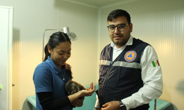 Localizan nutria en Purísima y entregan a acuario