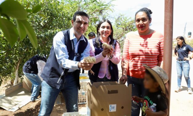 DIF Estatal impulsa economía familiar con aves de traspatio
