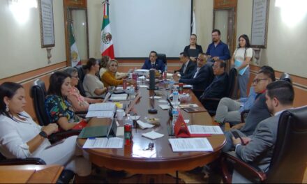 Se basan en datos 2024 para Programa Municipal de PC de San Francisco del Rincón