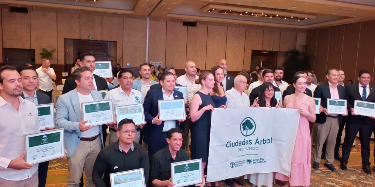 Es Purísima del Rincón Ciudad Arbórea 2025
