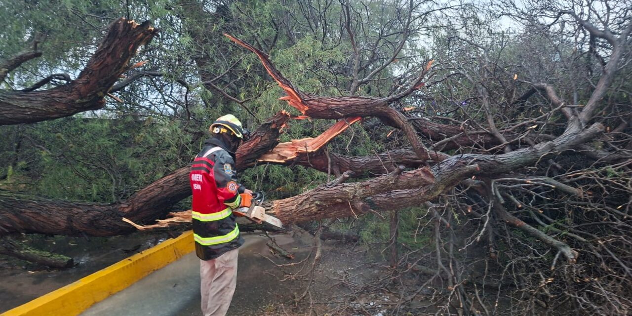 Atienden afectaciones por lluvias en Purísima del Rincón