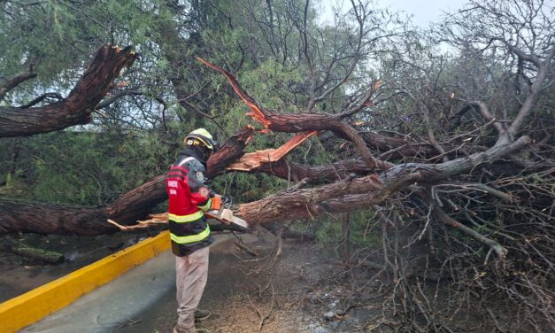 Atienden afectaciones por lluvias en Purísima del Rincón
