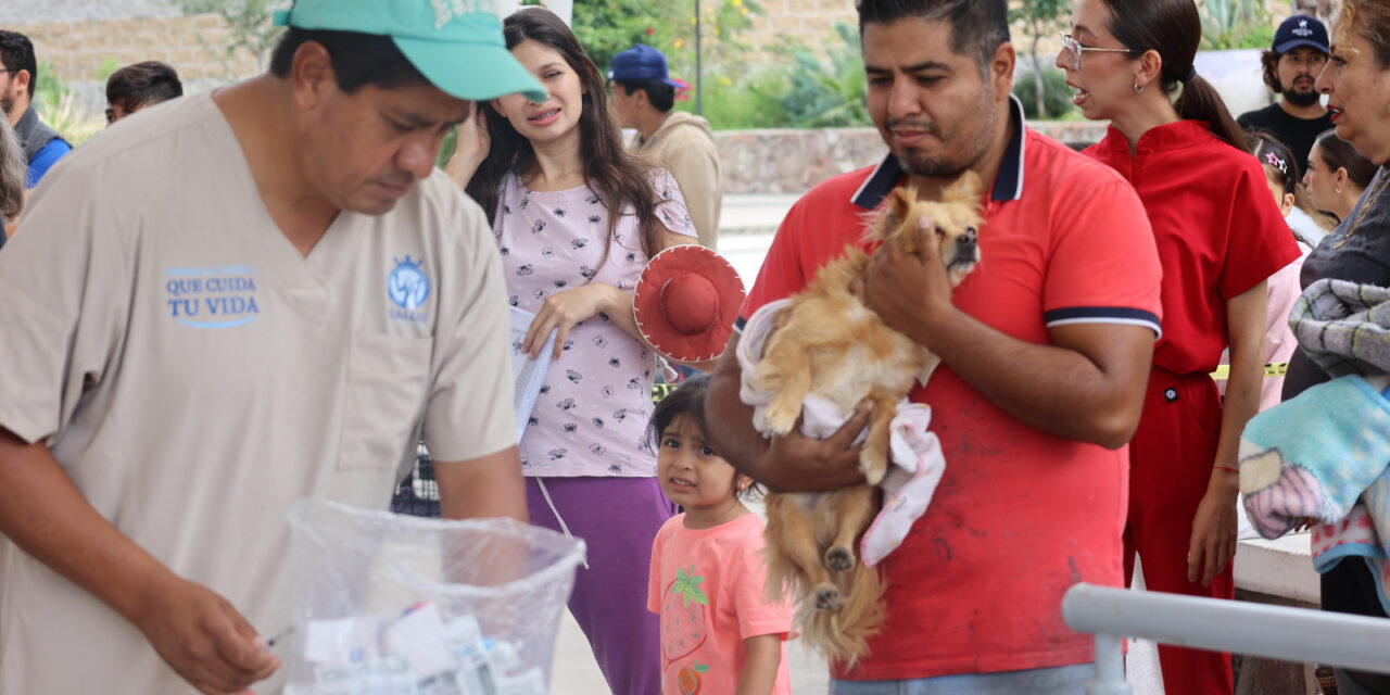Esterilizan a 150 mascotas en Purísima