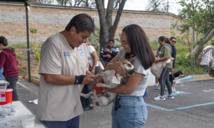 Esterilizan a 250 mascotas en Purísima