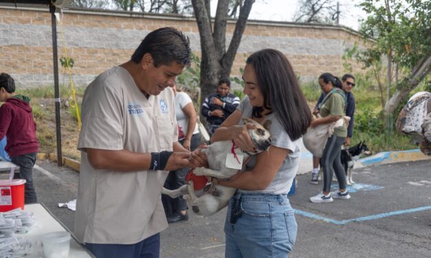 Esterilizan a 250 mascotas en Purísima